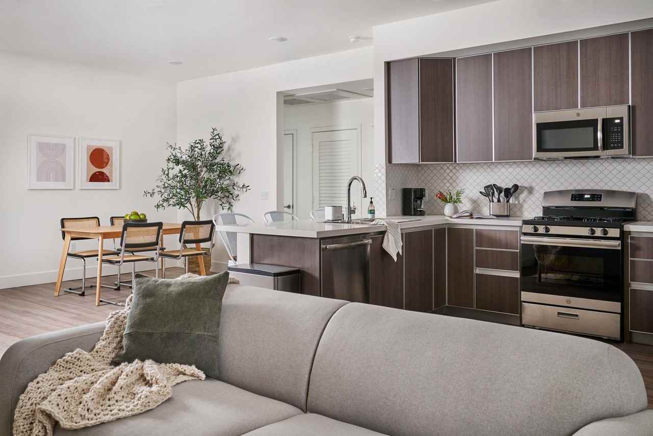 Ecco - Norton - Photo 2 of 50