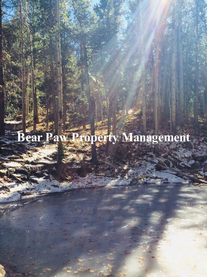 9163 Black Mountain Dr - Photo 2 of 8