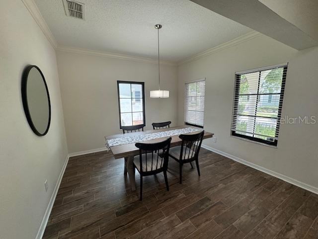 906 Pawstand Rd - Photo 3 of 29