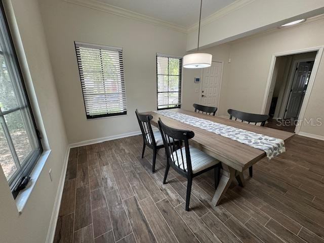 906 Pawstand Rd - Photo 4 of 29