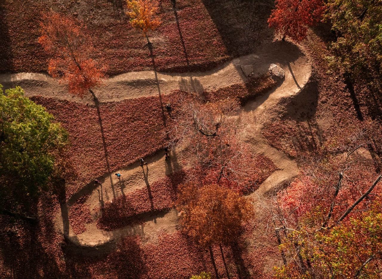 1311 County Road 118 #1221907P - Photo 5 of 50