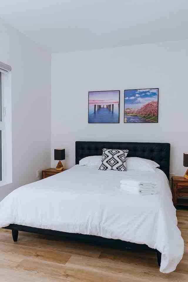 456 Gertrude Avenue - Photo 7 of 19