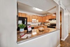 Summer Creek - Photo 1 of 1