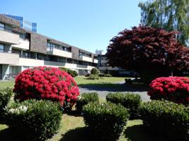 featured image of 6311 Gilbert Road