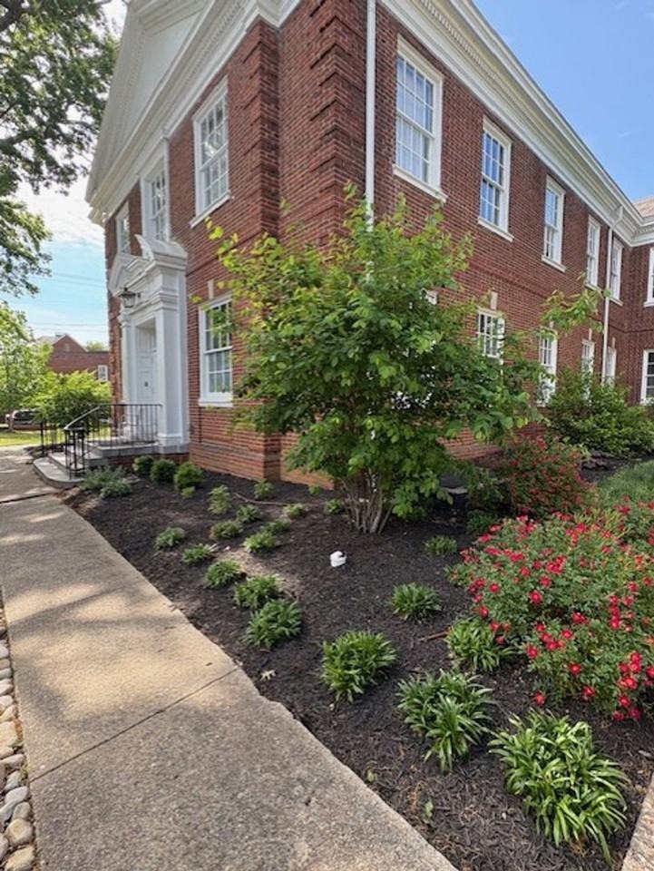 The Parkwood - Photo 5 of 9