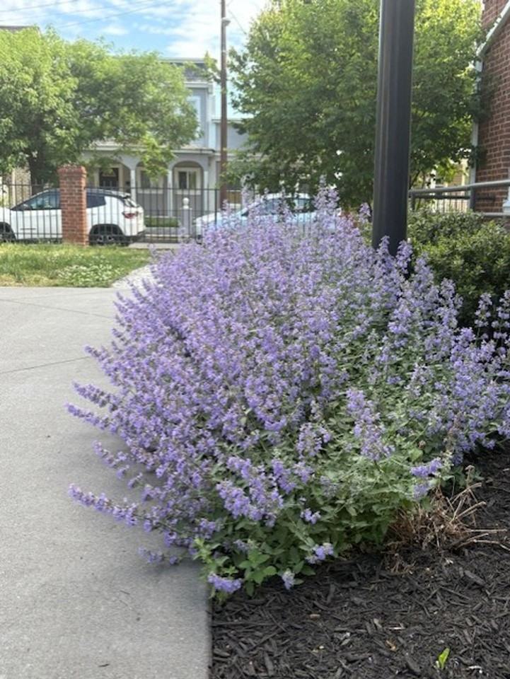 The Parkwood - Photo 7 of 9