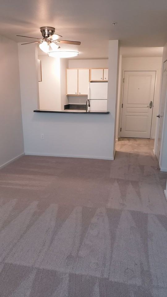 303 Ne 16th Ave #209 - Photo 7 of 20