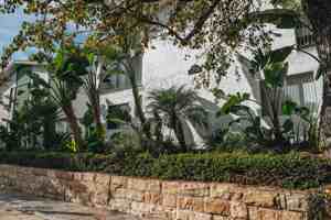 featured image of 320 W Canon Perdido St #6