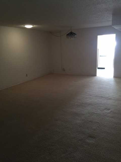 1513 Desert Willow Dr - Photo 5 of 16