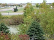 5789 Mount Curve Blvd - Photo 1 of 1