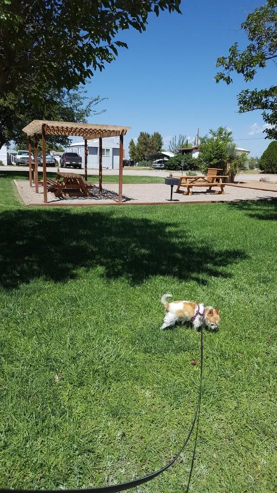 Walnut Grove Apartments - Photo 6 of 33