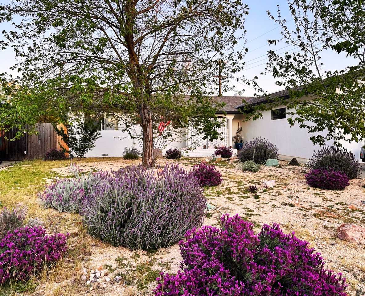 203 Montrose Dr #NA - Photo 2 of 25