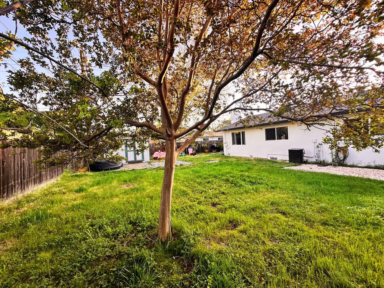 203 Montrose Dr #NA - Photo 3 of 25