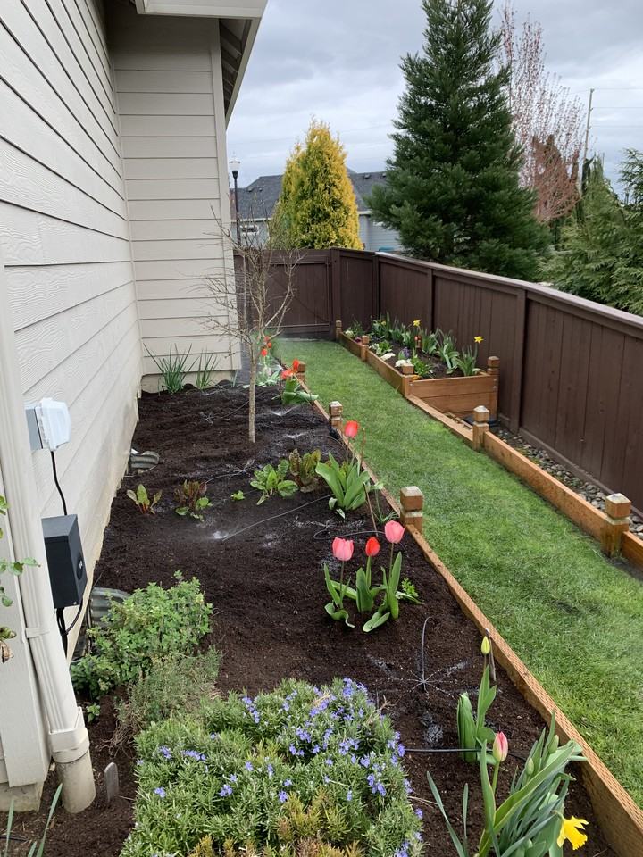 10402 Nw 32nd Dr #NA - Photo 6 of 11