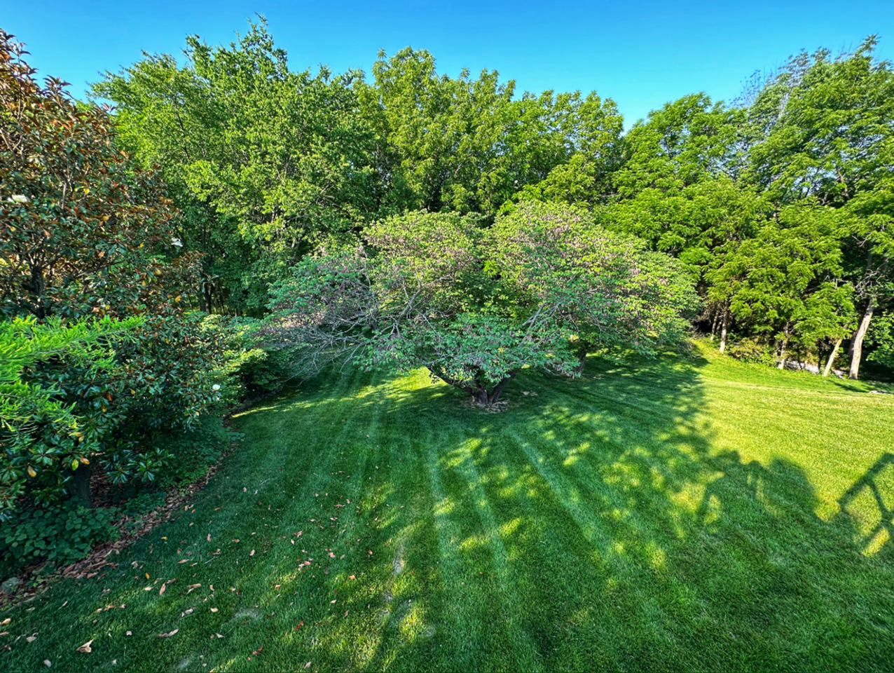 1114 S Charlemagne Dr - Photo 4 of 36