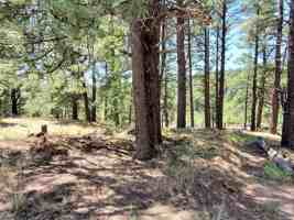 featured image of 2678 Mesa Trl #1