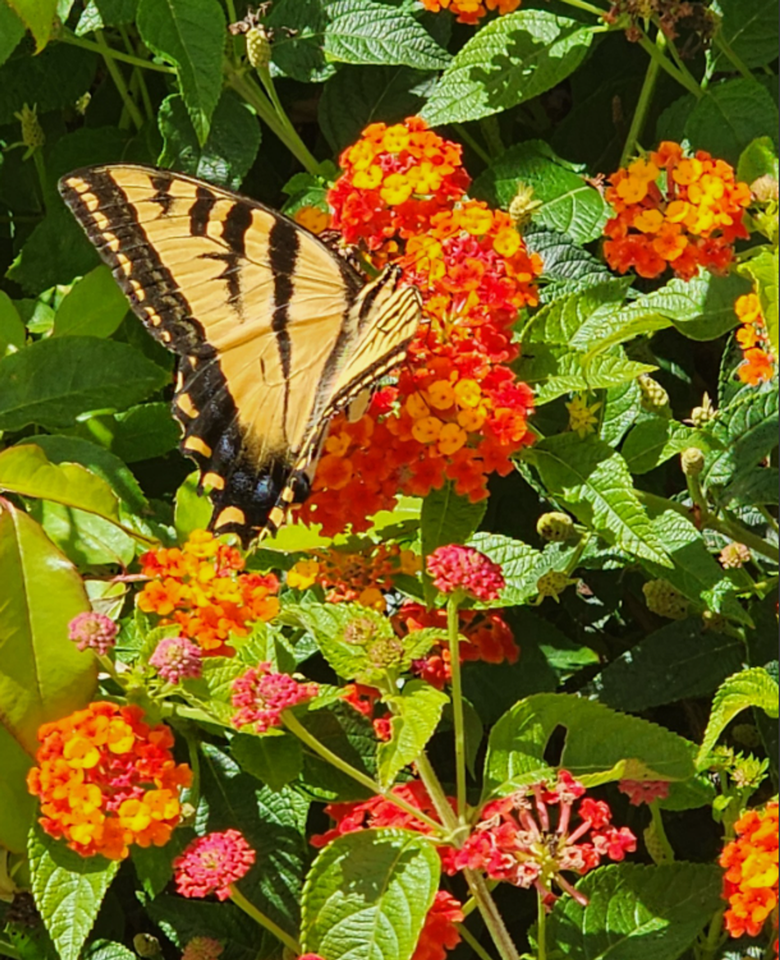 3459 Manchester Ave - Photo 3 of 26