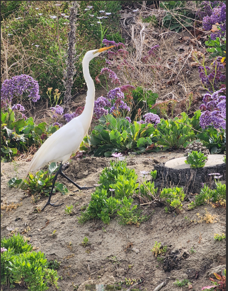 3459 Manchester Ave - Photo 5 of 26