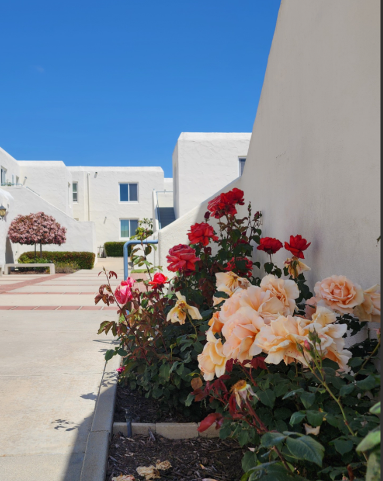 3459 Manchester Ave - Photo 6 of 26