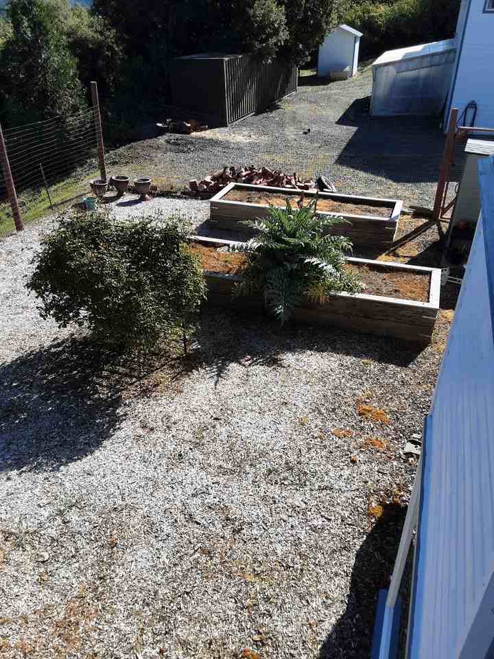 19290 Red Hill Mine Rd #NA - Photo 3 of 11