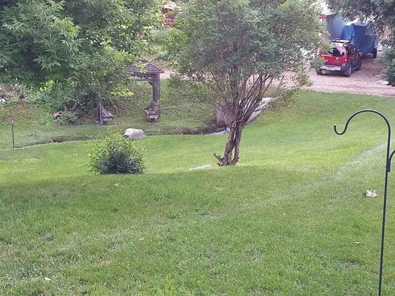 314 N 7th St - Photo 2 of 11