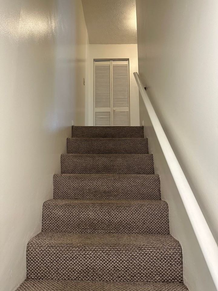 315 Clement St - Photo 6 of 10