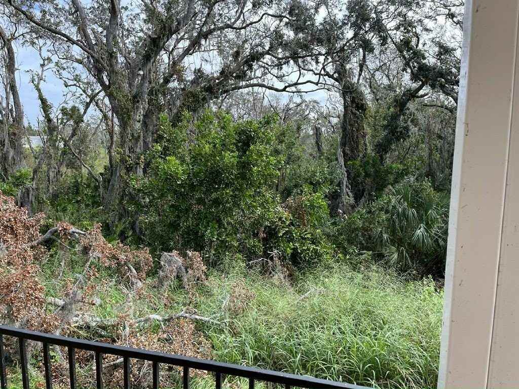 3317 Caper Ct #0149 - Photo 6 of 20