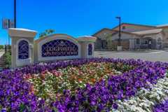 Edgewater - Photo 1 of 1