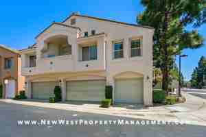 featured image of 5522 5522 Renaissance - 1 #1