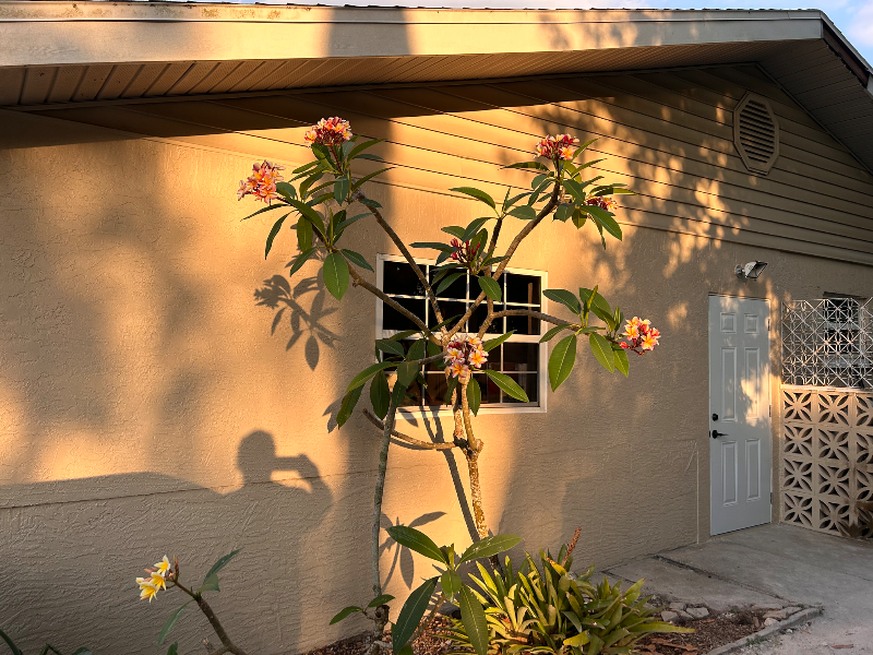 619 64th Street Ct E - Photo 3 of 45