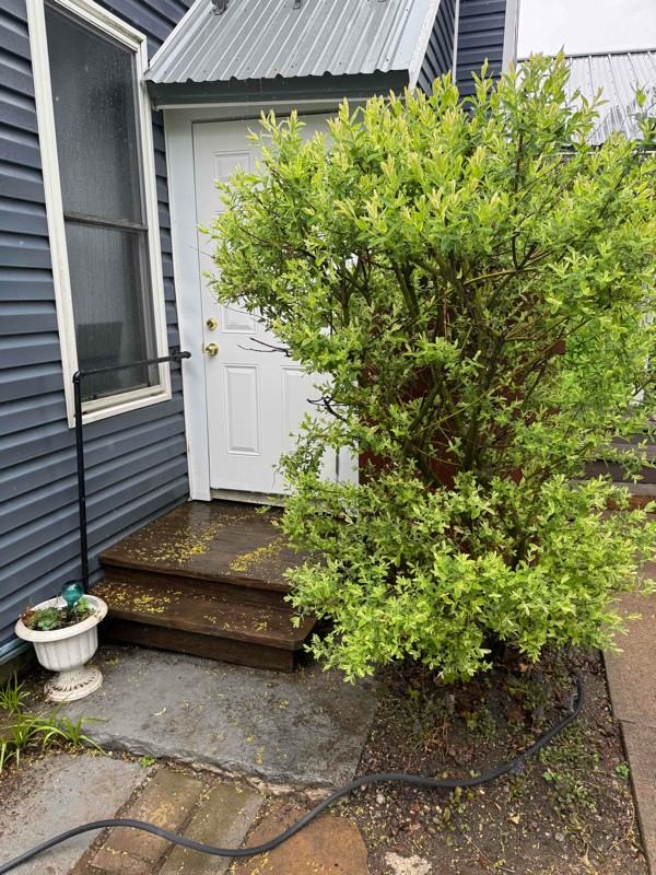 55 Columbia St #2R - Photo 2 of 6