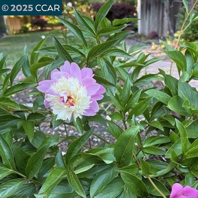 2150 Whyte Park Ave - Photo 6 of 50