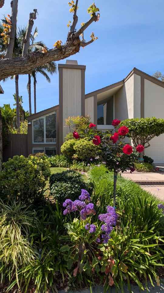 42 Almond Tree Ln #NA - Photo 3 of 50