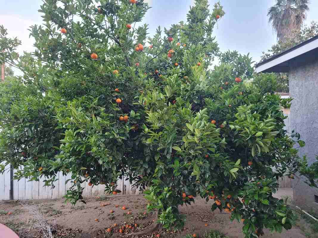 10854 Marklein Ave - Photo 7 of 24