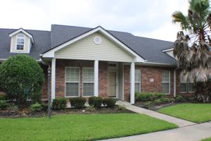 featured image of 8086 Indian Blanket
