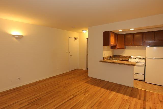 540 W Roscoe St #487 - Photo 5 of 12