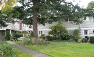 featured image of 2675 Oak St