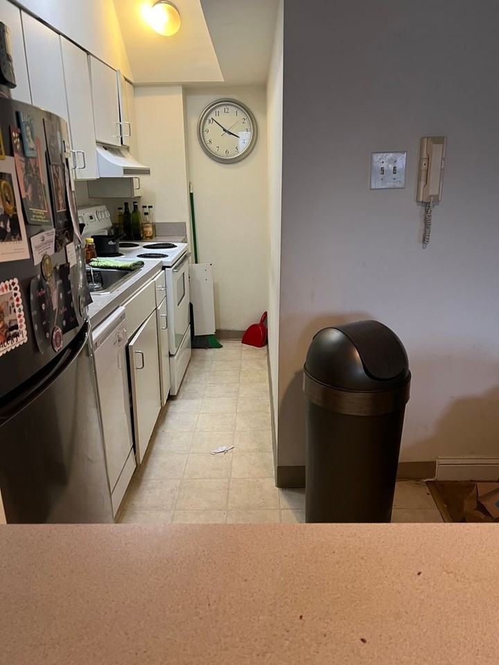 1211 Locust St - Photo 3 of 21
