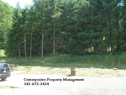 1814 Trails End Lane - Photo 6 of 10