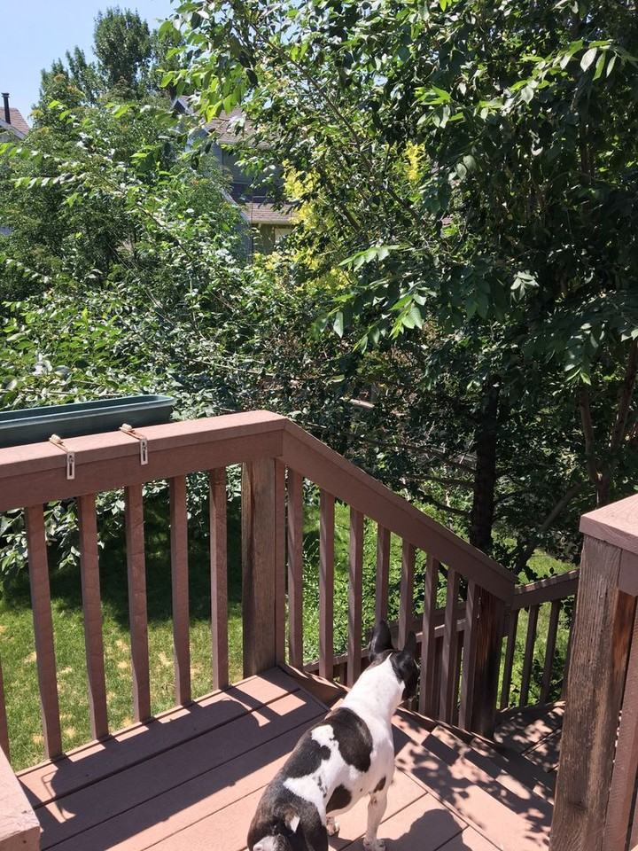 3875 Oakwood Dr - Photo 3 of 25