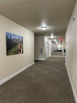 5301 Elyn Loop #304 - Photo 1 of 1