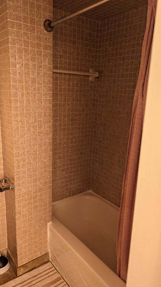 Noble Pine Tree - Photo 4 of 7