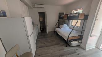 Noble Pine Tree - Photo 1 of 1