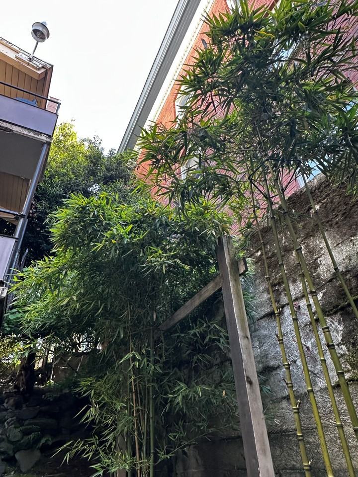 Summit Apartments @ Capitol Hill - Photo 4 of 5