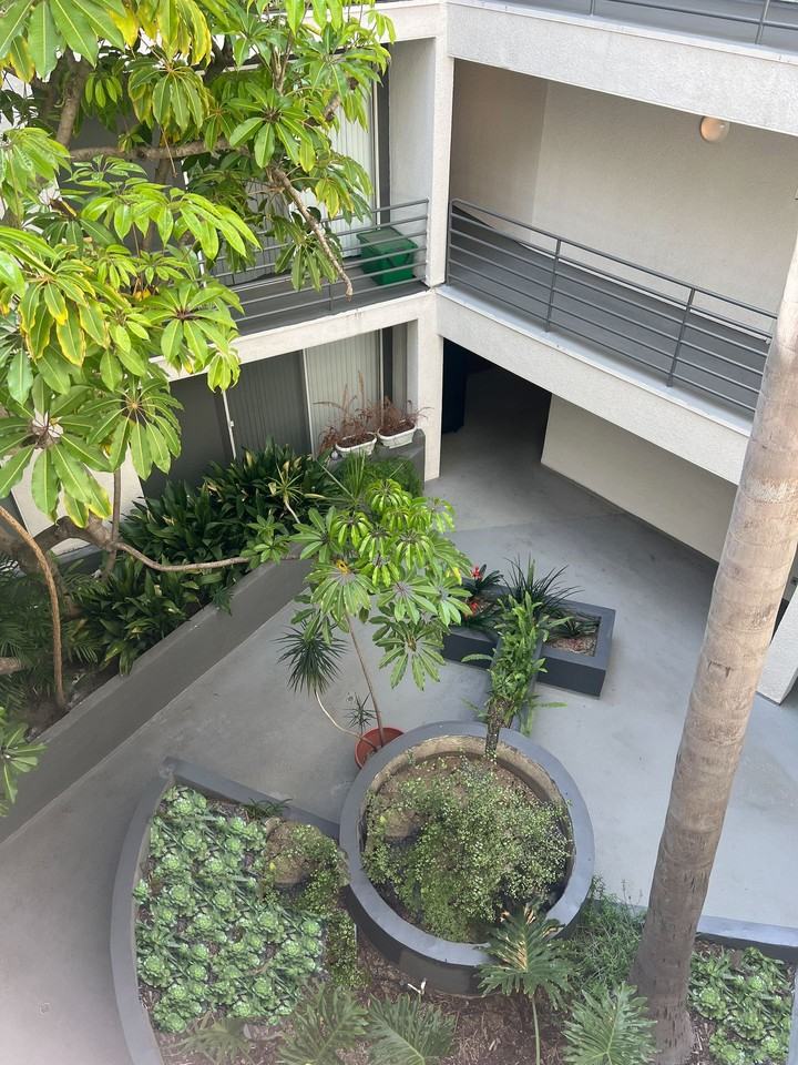 Archview Apartments - Photo 6 of 30