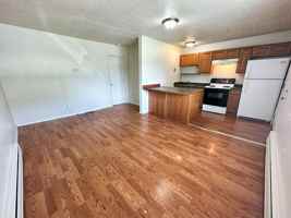 featured image of 1227 E 11th Ave