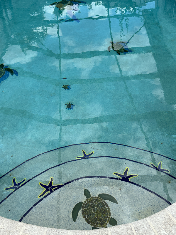 14481 Sw 146th Pl - Photo 5 of 21