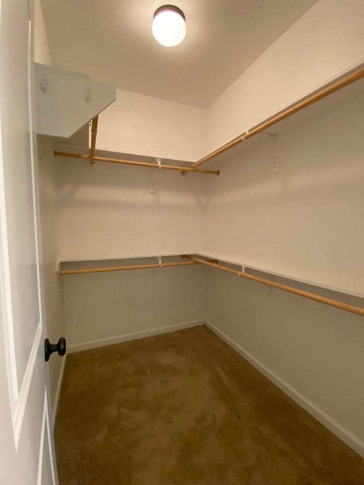 23319 Mango Dr - Photo 7 of 17