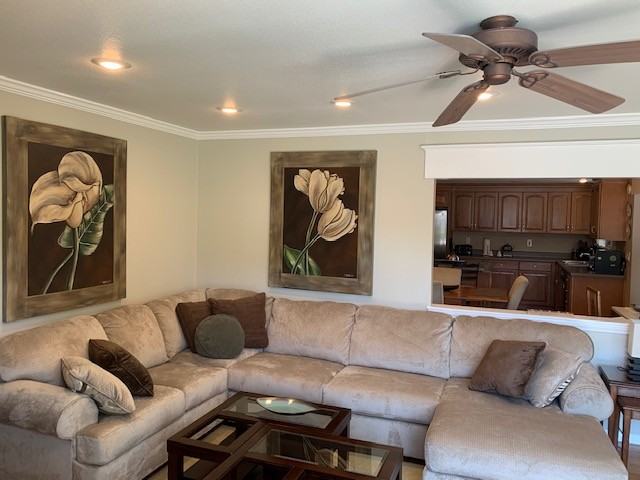 841 Cortez St #NA - Photo 3 of 37