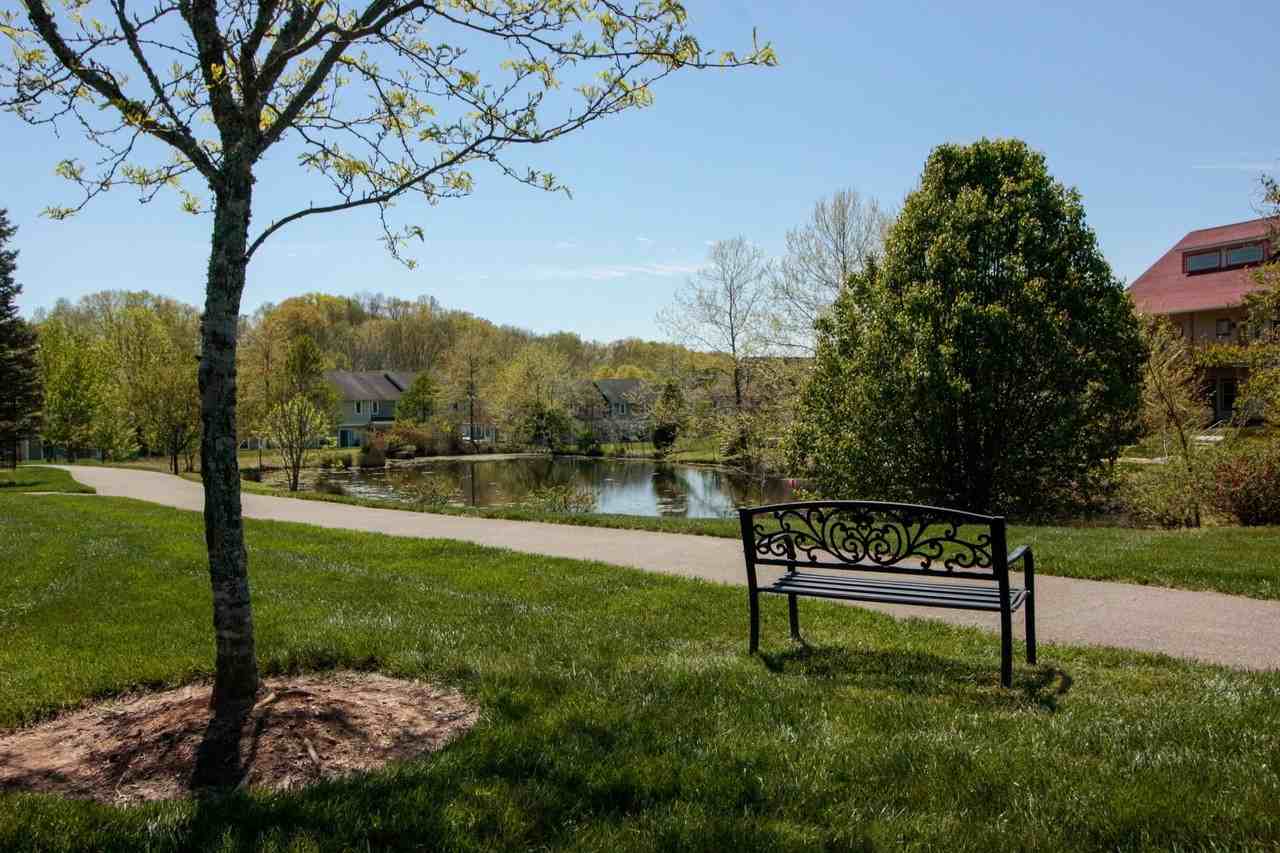 Meadow Creek - Photo 2 of 50